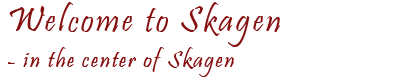 Skagavej166.dk - Holiday home to rent close to Skagen centre